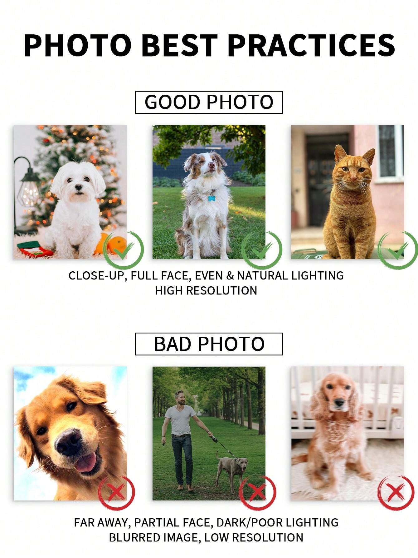 Customized Watercolor Pet Port - Pet Portrait Custom 评论和价格